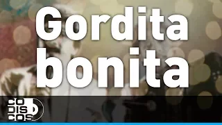 Gordita Bonita, Binomio De Oro - Audio