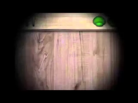 Ant Smasher videó