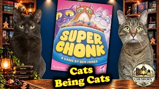 Super Chonk: Cats Being Cats! | What Is This Crazy Cat Game?