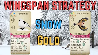 Wingspan Combo Strategy: Tuck Killing Combo!!