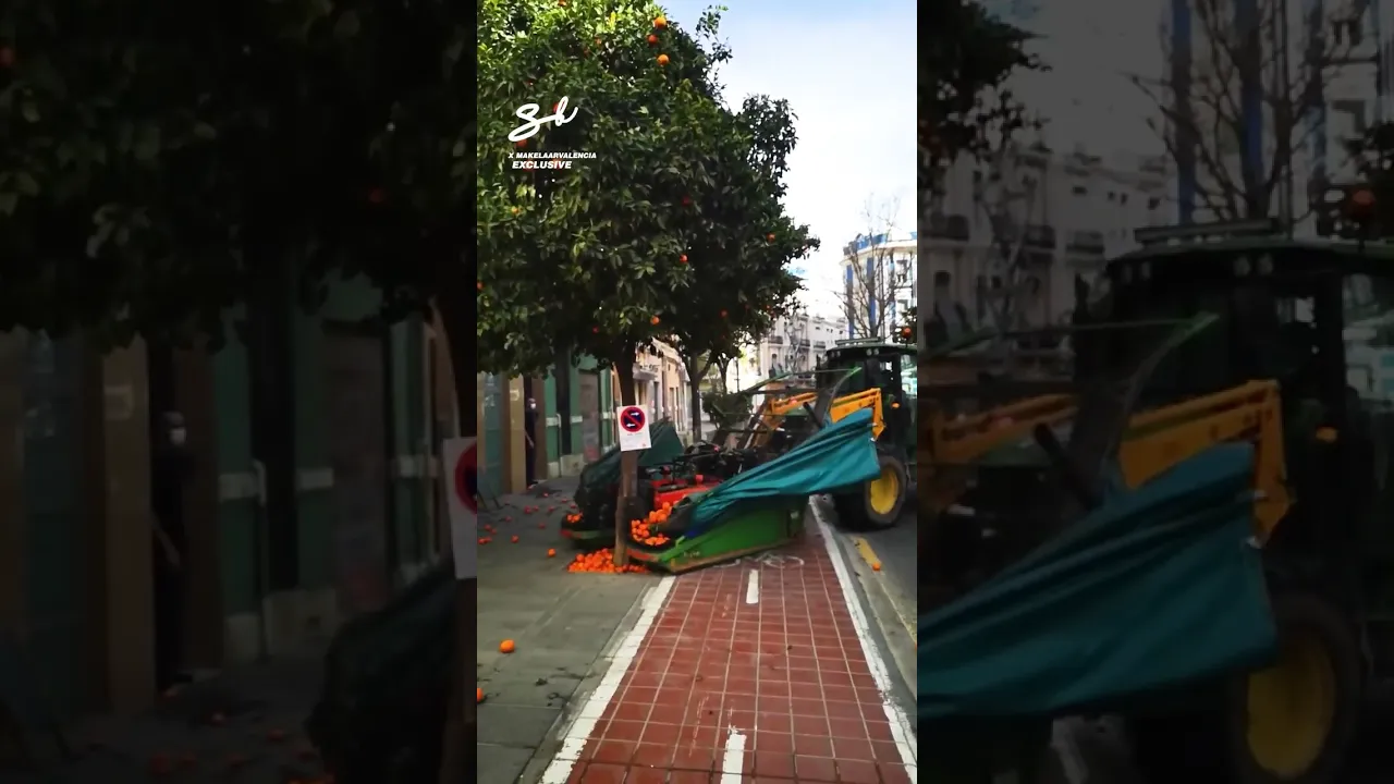 Why bother picking one orange when you can get hundreds in one go?! 🤷‍♀️🤯 #oranges #machinery #hacks