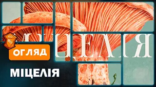 Огляд від Beaver Games