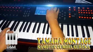 DEMO SAMPLES CUMBIA SUREÑA - YAMAHA MONTAGE DEMO SAMPLES CUMBIA SUREÑA - YAMAHA MONTAGE