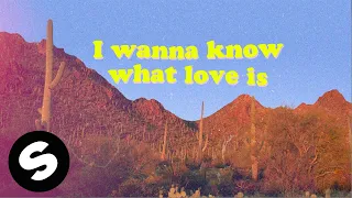 Foreigner - I Want To Know What Love Is (BLOND:ISH Sunrise Jungle Rework) [Official Lyric Video]