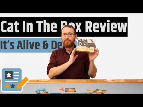 Cat In The Box Review - The Game Is Both Good & Bad Until You Watch This Review