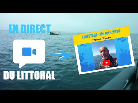 Vignette de la vidéo