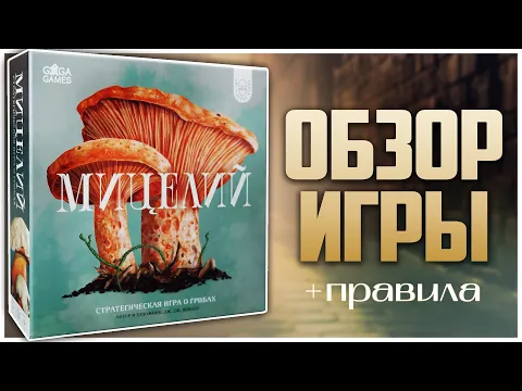 МИЦЕЛИЙ | MYCELIA Грибной контроль территорий Обзор и Правила игры