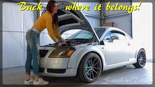 The TT Lives Again.. Kinda // New Lifts & Shop Update Vlog
