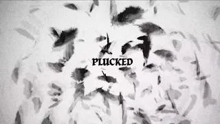 Destroy Boys - Plucked (Lyric Video)