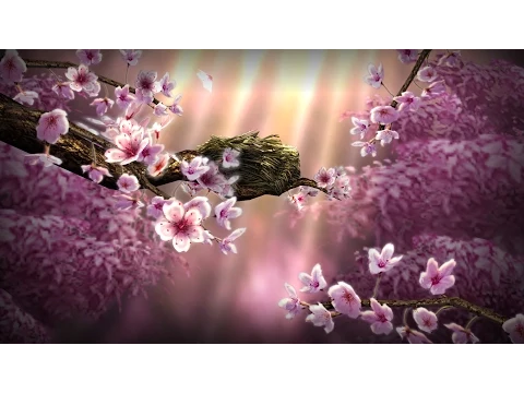 Season Zen Free 视频