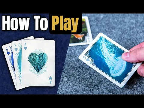 Hearts | How to Play | Learn to Play in 3 Minutes!