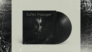Liviu Pustiu❌Theo Rose❌Florin Salam❌Alessandra - Suflet Pasager (Dj NyRoSs Edit)