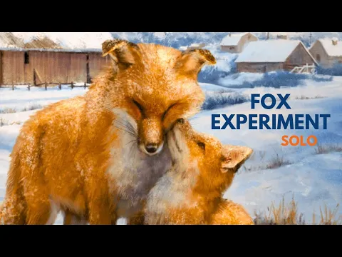 The Fox Experiment | Solo Board Game Tutorial and Playthrough