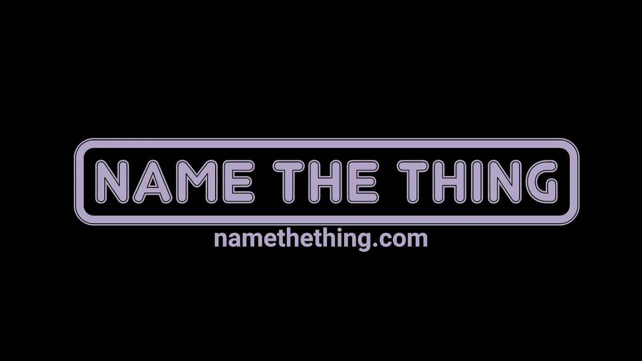 How to play Name The Thing!