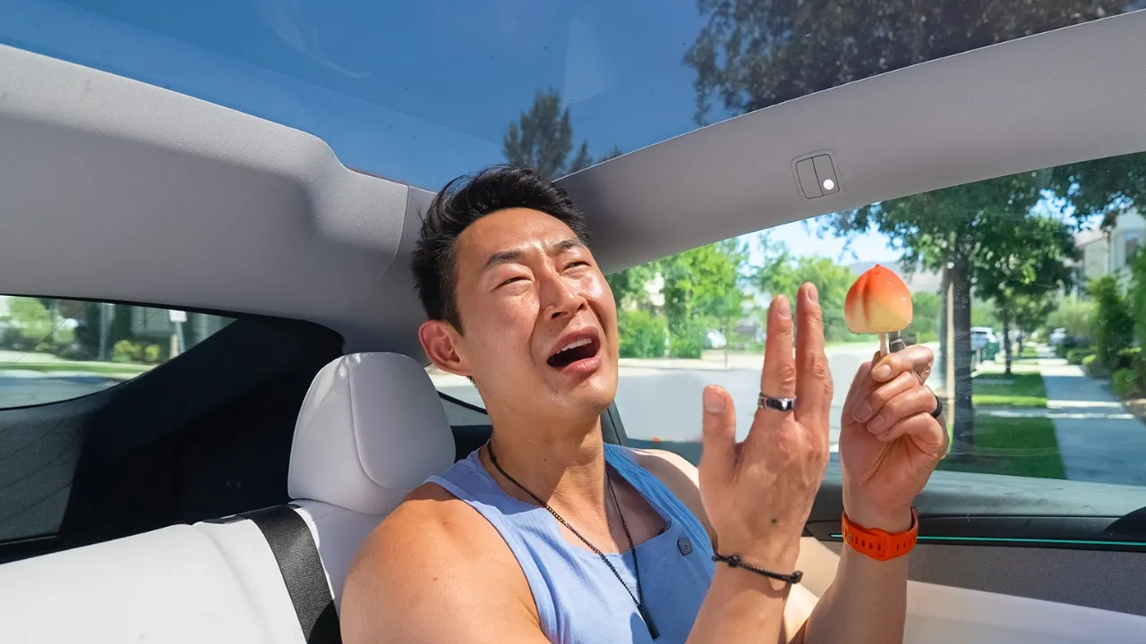I Wish I Knew This Before Tinting My Tesla