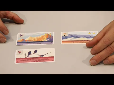 Introduction, Rules and Comparisson to the 2002 Version.