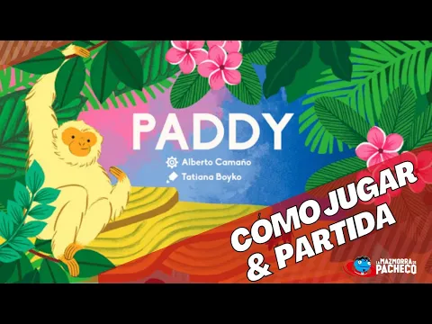 Paddy Cómo jugar y Partida