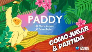 Paddy Cómo jugar y Partida