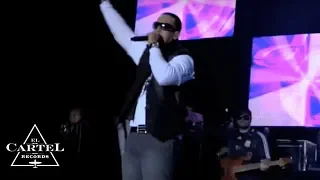 Daddy Yankee - En Medellin (Colombia) 2009 [Live]