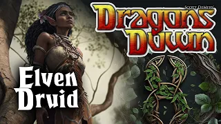 Playing as an Elven Druid