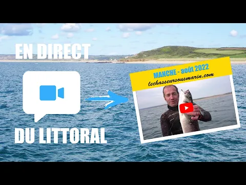 Vignette de la vidéo
