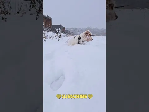 youtube-video-thumbnail