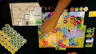 18Zoo Como jugar
