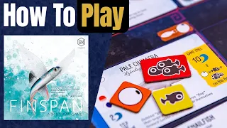 Finspan | How to Play | Learn to Play in 6 Minutes!