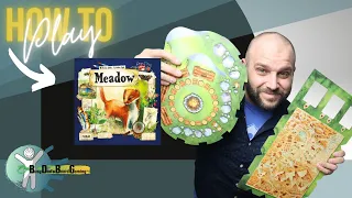 How to play Meadow the Board Game