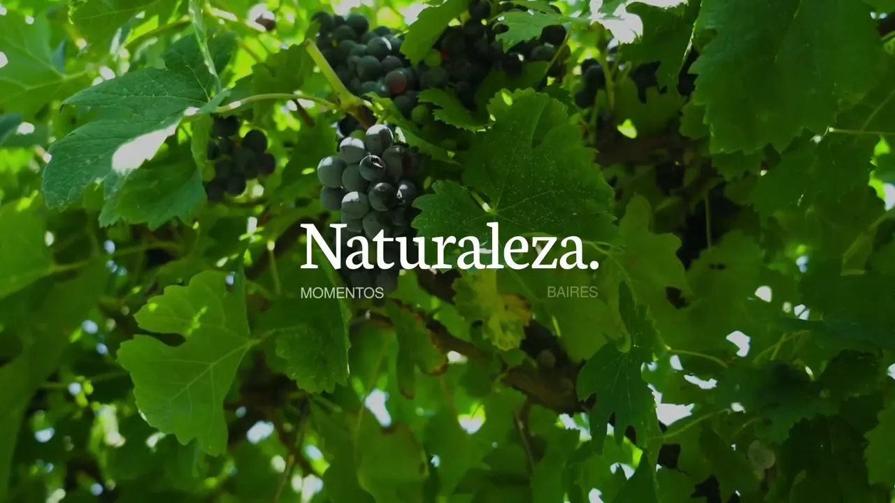 Video de Baires vinos