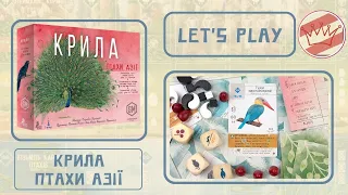Нумограй від Renko Play