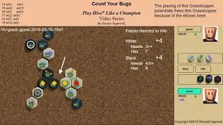 Counting Bugs Play Hive Like a Champion Video Series