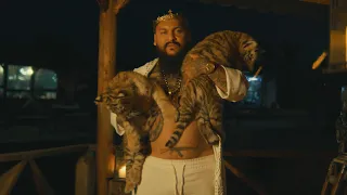 Dani Mocanu 🐅 Tigrul tau