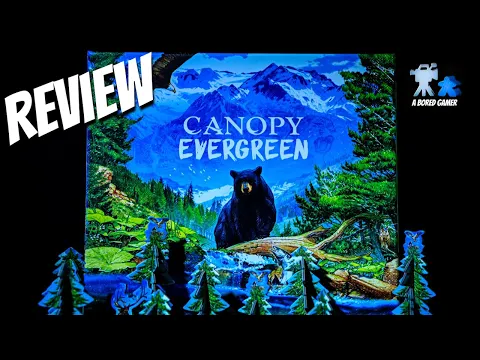 Canopy Evergreen Review