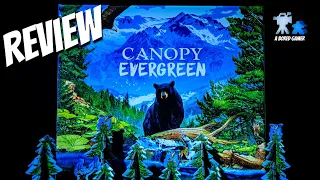 Canopy Evergreen Review