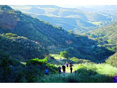 Race Video