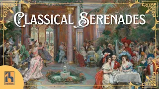 Classical Serenades | Mozart, Tchaikovsky, Schubert...