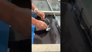 Hydro Dipping Car Parts! 🤩 #hydrodipping #cars #art