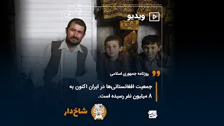 ادعای شاخ‌دار درباره جمعیت ۸ میلیون نفر افغانستانی‌های مقیم ایران