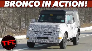 Breaking News: The New Bronco Spied on the Road - Here’s How it Compares To The Wrangler & Defender!