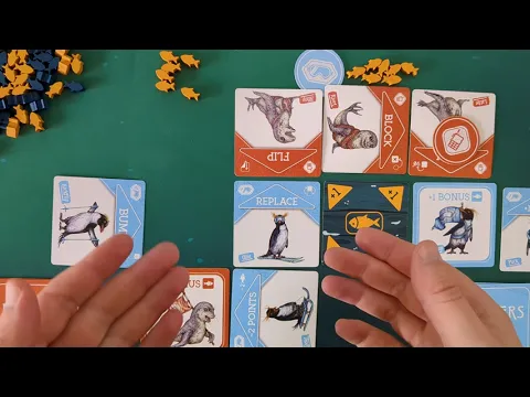 Flippers Set Up and Playthrough