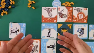 Flippers Set Up and Playthrough