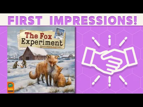 The Fox Experiment - First Impressions: What Do We Say?
