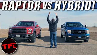 Can a Basic Work Truck CRUSH The Mighty Ford F-150 Raptor In A Drag Race?