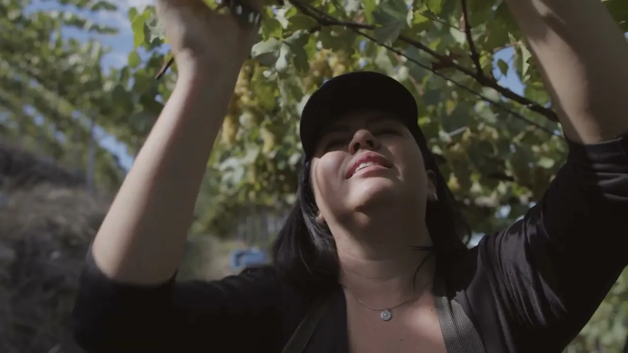 Vídeo de Canto dos Liivres - Vinícula