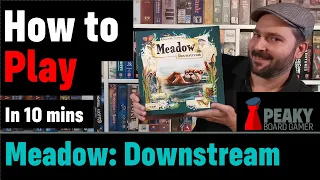 How to play Meadow: Downstream board game - Full teach + Visuals - Peaky Boardgamer