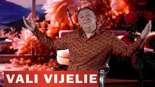 VALI VIJELIE - Pe Tine Te Iubesc (Oficial Video) 2026