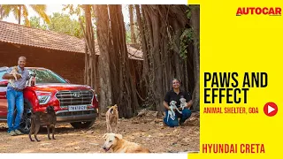 Hyundai Creta - Paws and Effect | Branded Content | Autocar India