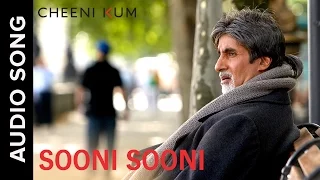Sooni Sooni (Full AudioSong) | Cheeni Kum | Amitabh Bachchan & Tabu