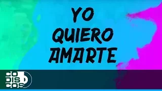 Yo Quiero Amarte, Shekeré Orquesta - Video Letra